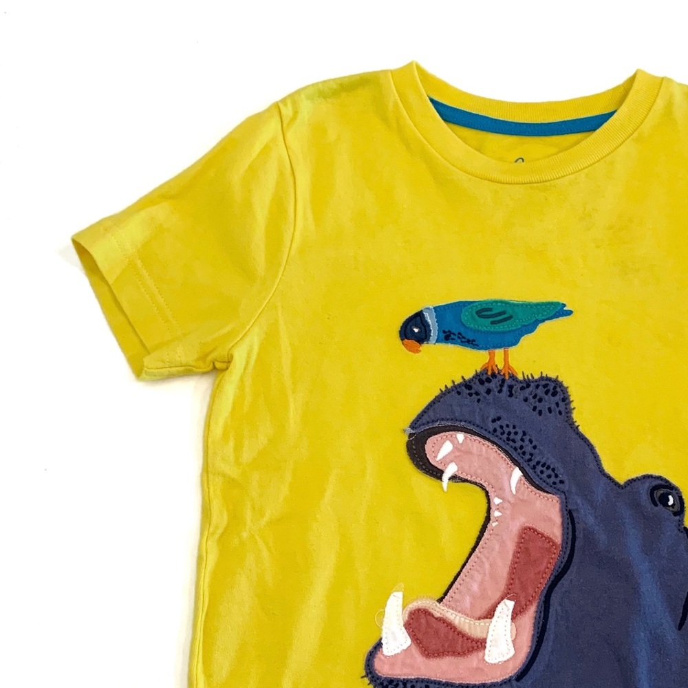 Mini Boden T-shirt Boy